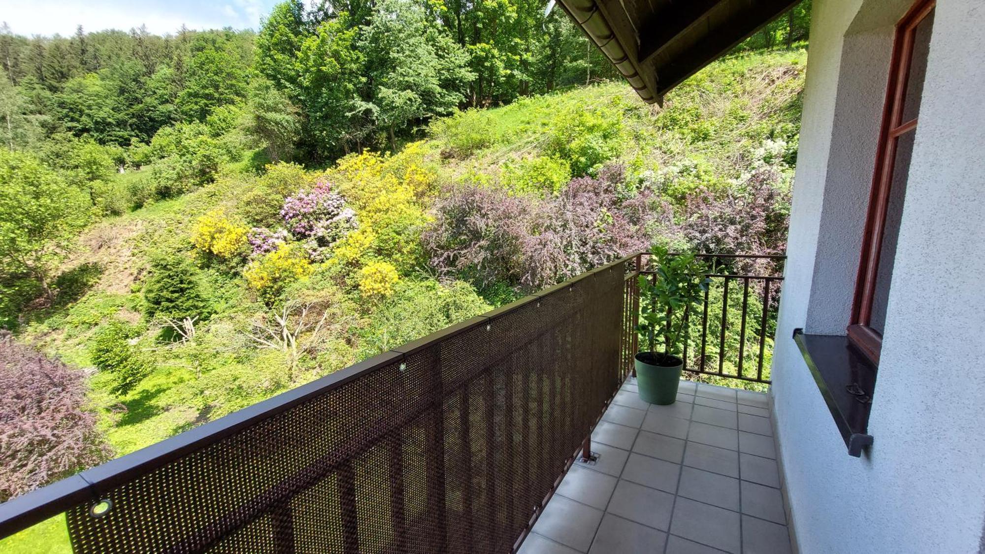 Apartament Miedzygorski Miedzygorze Buitenkant foto